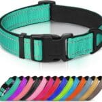 Joytale Reflective Dog Collar, Soft Neoprene Padded, Metal D-Ring, Nylon Pet Collar Adjustable for Large Dogs, Teal, L