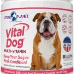 Vital Planet - Vital Dog Multi Vitamin Powder Supplement for Everyday Health with Vitamins, Minerals and Antioxidants for Dogs - Beef Flavored Powder, 30 Servings, 75 Grams