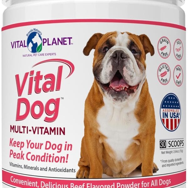 Vital Planet - Vital Dog Multi Vitamin Powder Supplement for Everyday Health with Vitamins, Minerals and Antioxidants for Dogs - Beef Flavored Powder, 30 Servings, 75 Grams