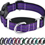 Hikiko Martingale Collar for Dogs Reflective Nylon Dog Collar with Quick Release Buckle Adjustable Training No Slip Dog Collars (Medium, Purple)