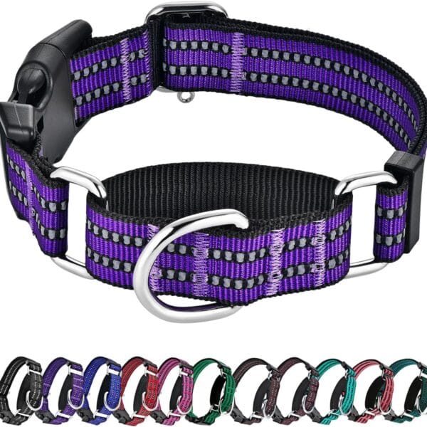 Hikiko Martingale Collar for Dogs Reflective Nylon Dog Collar with Quick Release Buckle Adjustable Training No Slip Dog Collars (Medium, Purple)