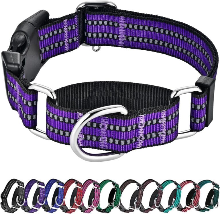 Hikiko Martingale Collar for Dogs Reflective Nylon Dog Collar with Quick Release Buckle Adjustable Training No Slip Dog Collars (Medium, Purple)