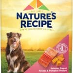 Natures Recipe Grain Free Salmon, Sweet Potato & Pumpkin Recipe Dry Dog Food, 24 lb. Bag