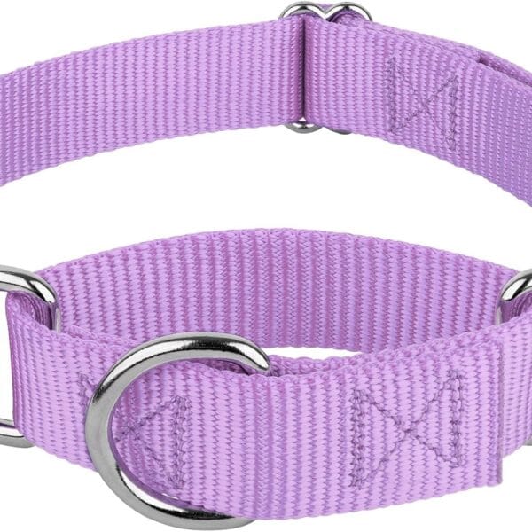 Country Brook Petz Martingale Dog Collar - Heavy-Duty Training Collar with No Buckle - Service Dog Collar for All Pups - Vibrant, Colorful Collection (Lavender, 1 Inch, Medium)