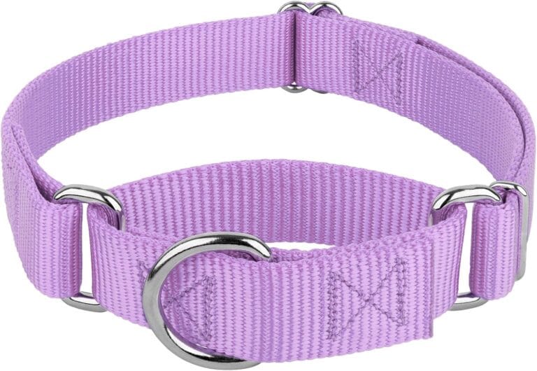 Country Brook Petz Martingale Dog Collar - Heavy-Duty Training Collar with No Buckle - Service Dog Collar for All Pups - Vibrant, Colorful Collection (Lavender, 1 Inch, Medium)