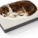 Bedsure Dog Beds Large Sized Dog - Orthopedic Flat Pet Beds with Removable Washable Cover, Egg Crate Foam Puppy Mat, Suitable for Pet Up to 65 lbs