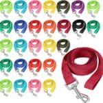 24 Pack Nylon Dog Training Leash Bulk 5 ft Dog Leash for Small and Medium Puppy Traction Rope for Training, Play, Camping, or Backyard, 12 Assorted Colors(Bright Colors)