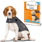 ThunderShirt for Dogs, Medium, Heather Gray Classic - Dog Anxiety Relief Calming Vest