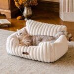 MEWOOFUN Cat Beds for Indoor Cats, Fluffy Cat Couch with Removable Washable Cover, Supportive Small Dog Beds for Puppy & Kitten up to 15 lbs (Beige, 24x19x12)