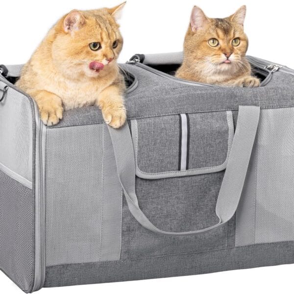 Large Cat Carrier for 2 Cats, 21.7X 13.8X 13.8in Pet Carrier for Cat and Dog Up to 38lbs, All-Sided Mesh Cat Carriers with Great Ventilation, Portable Soft Sided Pet Carriers for Traveling