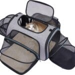 Siivton 4 Sides Expandable Pet Carrier, Airline Approved Soft-Sided Dog Cat Carrier Bag with Fleece Pad for Cats, Puppy and Small Animals (4 Extension Gray_Blue, L:18.0" L x 11.0" W x 11.0" H)