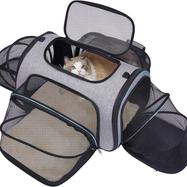 Siivton 4 Sides Expandable Pet Carrier, Airline Approved Soft-Sided Dog Cat Carrier Bag with Fleece Pad for Cats, Puppy and Small Animals (4 Extension Gray_Blue, L:18.0" L x 11.0" W x 11.0" H)