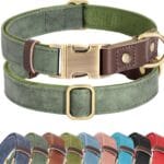 Didog Soft PU Leather Dog Collars for Small Dogs,Classic Adjustable Dog Collars with Quick Release Metal Buckle,Easy Clean and Comfortable with Nylon Lining,Green,S Neck 10-15"