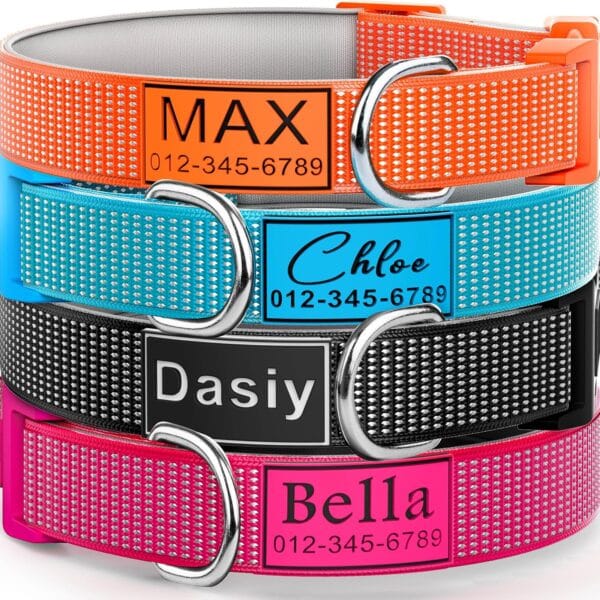 Deeply Engraved Personalized Dog Collar with Silicone Name Plate and Durable Buckle, Fully Reflective, Soft Neoprene Padded - Suitable for Small, Medium, and Large Dogs & Cats