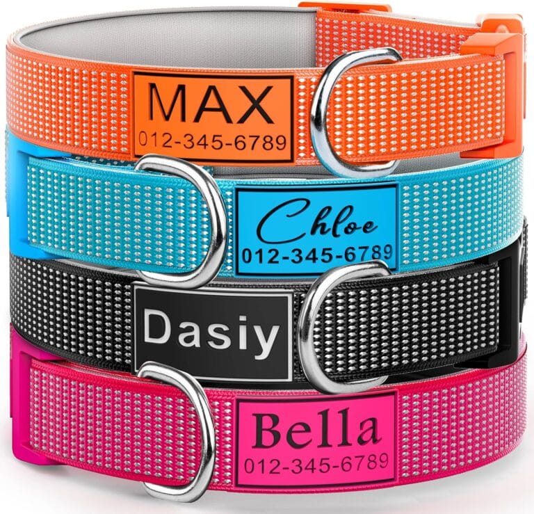 Deeply Engraved Personalized Dog Collar with Silicone Name Plate and Durable Buckle, Fully Reflective, Soft Neoprene Padded - Suitable for Small, Medium, and Large Dogs & Cats