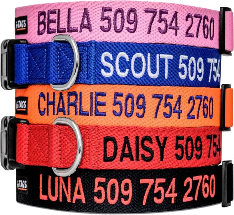 GoTags Personalized Dog Collar, Custom Embroidered with Pet Name and Phone Number in Blue, Black, Pink, Red and Orange, for Boy and Girl Dogs or Cats, Adjustable Sizes, Small, Medium, and Large