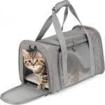 Mr. Pen- Pet Carrier, Cat Carrier, Dog Carrier, Cat Bag Carrier, Cat Travel Carrier, Soft Cat Carrier, Dog Travel Carrier, Pet Travel Carrier, Dog Soft-Sided Carriers