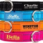 PAWBLEFY Personalized Dog Collars - Reflective Nylon Collar Customized with Name and Phone Number Adjustable Sizes for Small Dogs, Medium, Large 4 Colors Male Female boy Girl Puppies