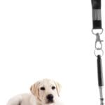Dog Training Whistle Kit with Frequency Sound Tool for Positive Reinforcement Stop Barking Obedience Training for Pet Owners Trainers