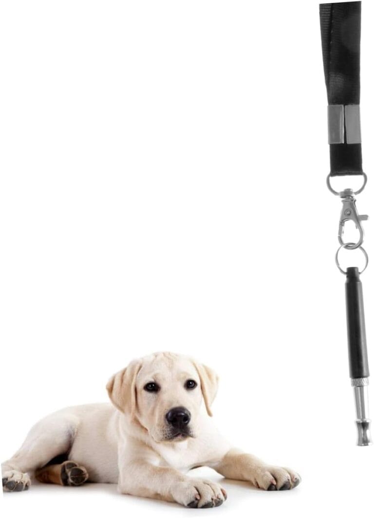 Dog Training Whistle Kit with Frequency Sound Tool for Positive Reinforcement Stop Barking Obedience Training for Pet Owners Trainers