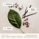 Cremo Cologne For Men – Spice & Black Vanilla Mens Cologne Spray, An Explosion of Vibrant Spices, Dark Woods and Black Vanilla, Multi-Layered Signature Men’s Fragrances, 3.4 Fl Oz