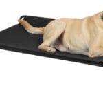 Veehoo Cooling Elevated Dog Bed - Raised for Large Dogs, Outdoor With Guardrail, Upgraded Non-Slip Feet, Breathable Teslin Mesh, Portable Camping Cot, 41 x 27 Inches, Black