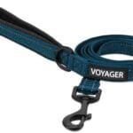 Voyager Reflective Dog Leash with Neoprene Handle, 5ft Long, Supports Small, Medium, and Large Breed Puppies, Cute and Heavy Duty for Walking, Running, and Training - Blue (Leash), M