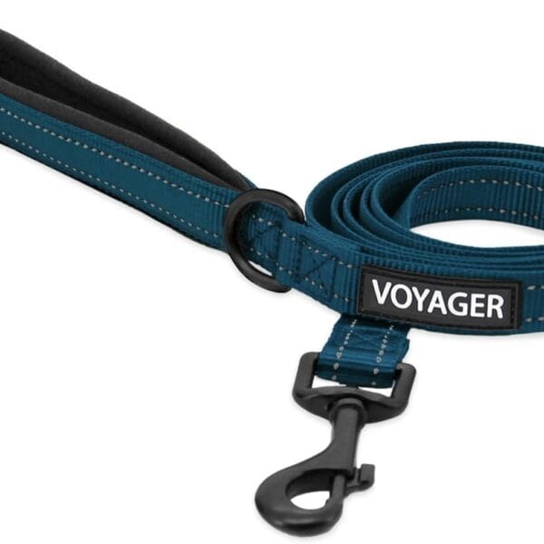 Voyager Reflective Dog Leash with Neoprene Handle, 5ft Long, Supports Small, Medium, and Large Breed Puppies, Cute and Heavy Duty for Walking, Running, and Training - Blue (Leash), M