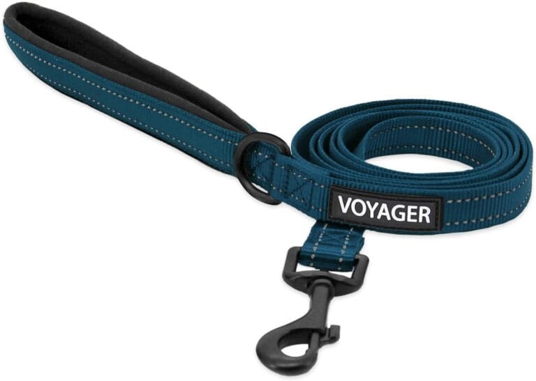 Voyager Reflective Dog Leash with Neoprene Handle, 5ft Long, Supports Small, Medium, and Large Breed Puppies, Cute and Heavy Duty for Walking, Running, and Training - Blue (Leash), M