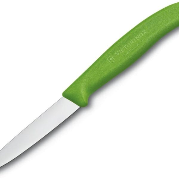 Victorinox 3.25 Inch Swiss Classic Paring Knife with Straight Edge, Spear Point, Green