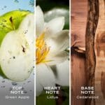 Nautica Voyage Eau De Toilette, Cologne and Fragrance For Men, Fresh, Romantic, Fruity Scent Woody, Aquatic Notes of Apple, Water Lotus, Cedarwood, and Musk Ideal Day Wear, Long Lasting 6.7Fl oz