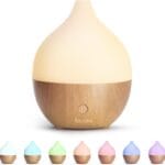 SALKING Essential Oil Diffuser, 100ml Small Aromatherapy Diffuser with Auto Shut-Off Function, Ultrasonic Diffusers for Essential Oils, Cool Mist Humidifier with Warm White Lights, for Office Home