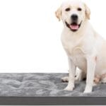 Dog Bed for Crate Washable Plush Dog Bed Kennel Pad Pet Sleeping Mat with Anti-Slip Bottom,41x27 Inch, Grey