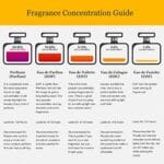 Yves Saint Laurent Eau De Parfum Spray for Men 60Ml/2Oz