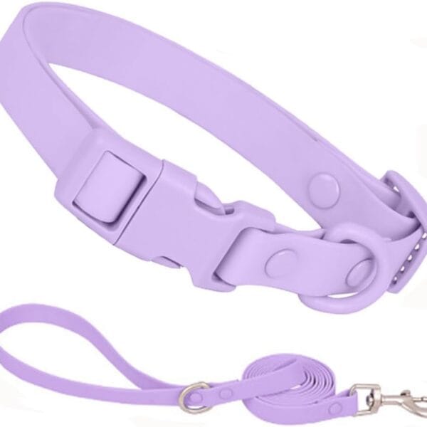 Waterproof Dog Collar and Leash Set, Purple Silicone Plastic PVC Rubber Washable Quick Release Buckle Water Swim Female Dog Collars for Small Medium Large Pet Girl Dogs, M