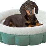 BALANCE Cat Beds for Indoor Cats, Washable Round Dog Bed, Donut Dog Bed with Anti-Slip Bottom for Small Dogs, 28 Inches, Granite Green