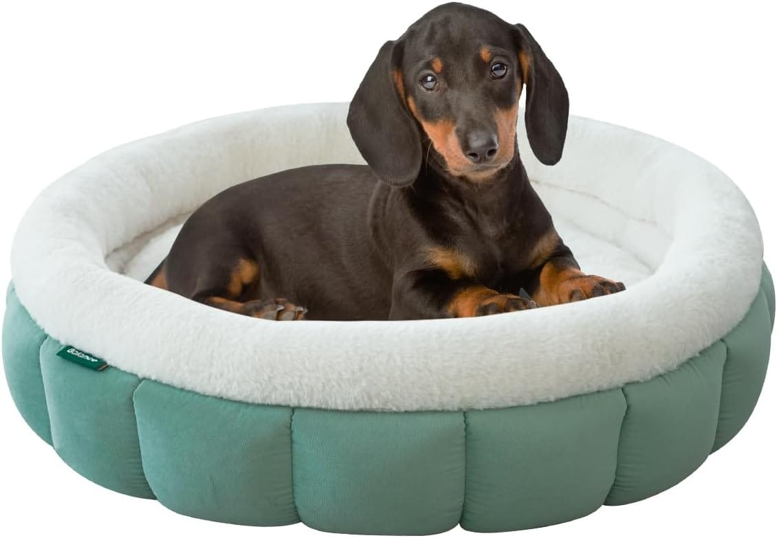BALANCE Cat Beds for Indoor Cats, Washable Round Dog Bed, Donut Dog Bed with Anti-Slip Bottom for Small Dogs, 28 Inches, Granite Green BALANCE Cat Beds for Indoor Cats, Washable Round Dog Bed, Donut Dog Bed with Anti-Slip Bottom for Small Dogs, 28 Inches, Granite Green