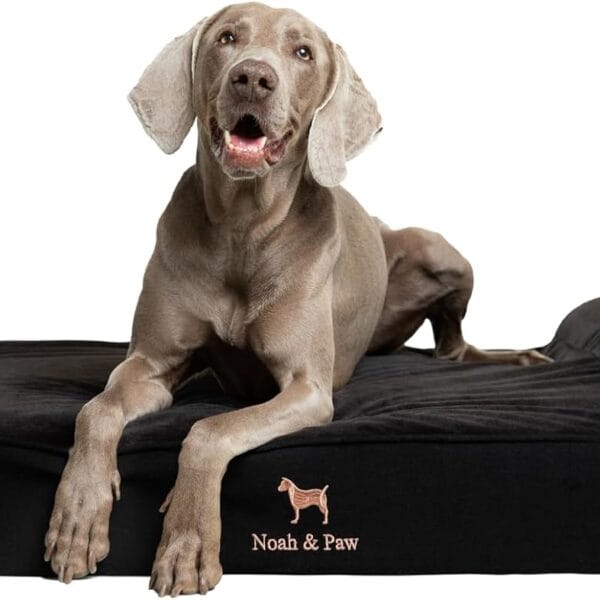 NOAH & PAW XL Dog Bed, 45x35x9.1 Inch, Orthopedic Large Dog Beds, Eggshell Memory Foam Infused with Cooling Gel, Waterproof, Machine Washable, Includes Inner Cover (Denim Collection)