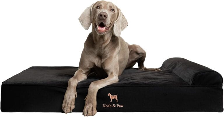 NOAH & PAW XL Dog Bed, 45x35x9.1 Inch, Orthopedic Large Dog Beds, Eggshell Memory Foam Infused with Cooling Gel, Waterproof, Machine Washable, Includes Inner Cover (Denim Collection)