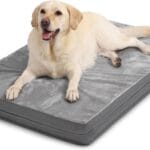 Waterproof XXL Dog Beds Large Sized Dog, Outdoor Orthopedic Washable Crate Pad 48 inch, Jumbo XXLarge Foam Pet Bed with Removable Cover Reversible, Durable Anti-Slip Kennel Pad, 47"x29", Gray