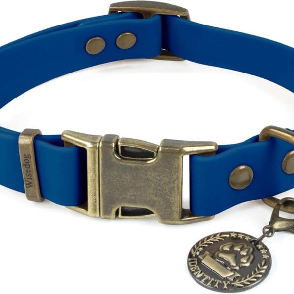 Wisedog Waterproof Dog Collar for Medium Dogs - Quick Release Buckle, Adjustable Rubber Puppy Collar, Easy to Clean with Cute Tag for Outdoor Use, Blue(S:10"-14")