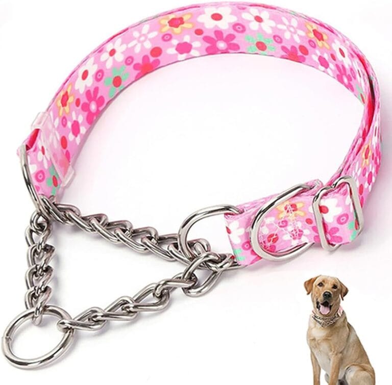 Stainless Steel Chain Martingale Dog Collar, No Pull Slip Cinch Choker Choke Collar Training Escape Proof Heavy Duty Dog Collar for Small Medium Large Pet Girl Female Dogs, Pink Floral M