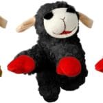 Multipet Mini Lamb Chop 6" Bundle Small Dog Toys | White, Black & Brown | Lambchop Squeaker Dog Pet Toy 6" Plush | Small | 3-Pack | Officially Licensed