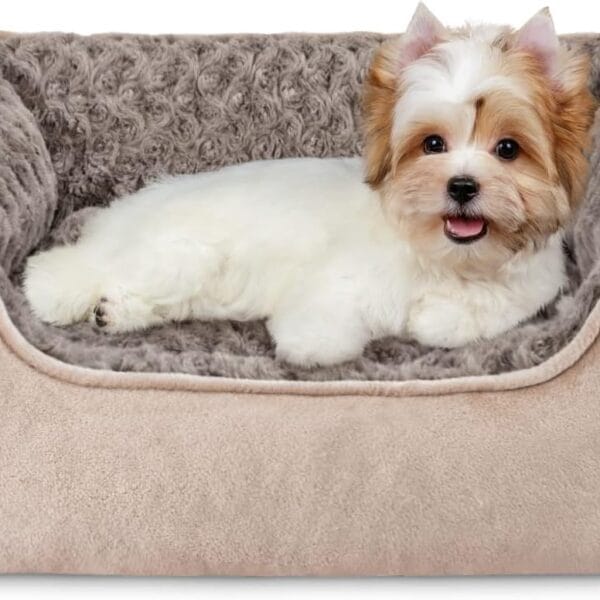 JOEJOY Rectangle Dog Bed for Large Medium Small Dogs - Washable Orthopedic Sofa Bed, Soft Breathable Puppy & Pet Cuddler, Durable Calming Dog Bed with Anti-Slip Bottom, Multiple Sizes, Beige