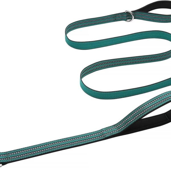 Hikiko 6 FT Heavy Duty Dog Leash with 2 Padded Handles Reflective Nylon Double Handle Dog Leash, Dark Green