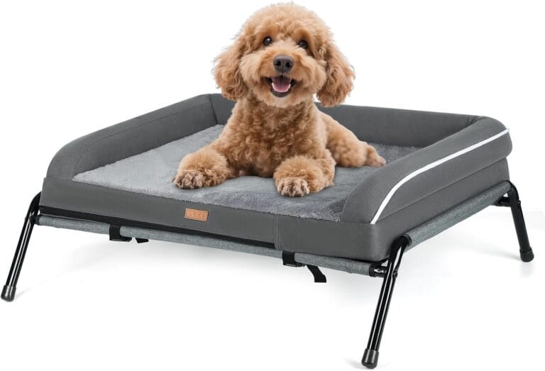 Lekereise Elevated Outdoor Dog Bed Cot + Orthopedic Indoor Small Dog Sofa Bed, 2-in-1 Design, Load 40lb, Grey