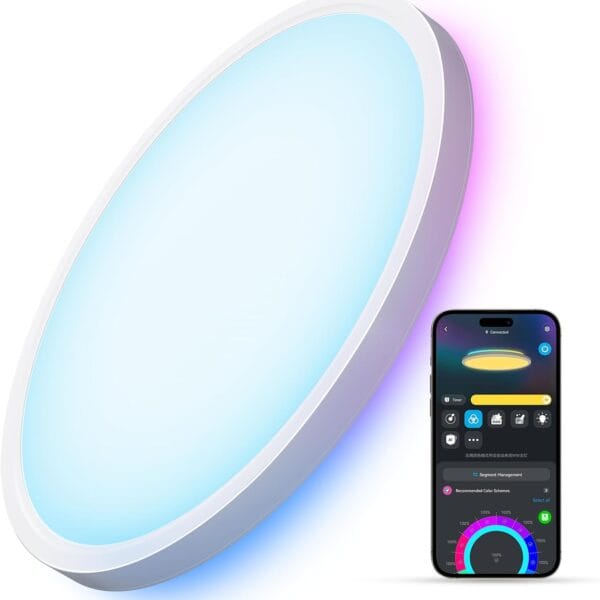 Govee Smart Ceiling Light, RGBIC LED Ceiling Light Fixture, 2400LM Flush Mount Light Fixture, DIY Colors, Works with Alexa, 2200K-6500K Ceiling Lights for Bedroom, Living Room, 12 Inch, 1 Pack