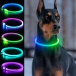 Light Up Dog Collars, USB Rechargeable Dlitk LED Dog Collar 1 Count, TPU Cuttable Size Glow Collar for Dogs, Dog Collar Light, Please Do Not Use Fast Charging (Green+Blue)