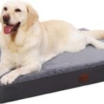 MIHIKK Waterproof Dog Bed Medium Size Dog Orthopedic Dog Beds for Crate with Removable Washable Cover Egg-Crate Foam Pet Pad Mat with Anti-Slip Bottom, 35x22 Inch, Grey