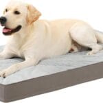 KSIIA Orthopedic Dog Bed, Waterproof, 41 x 27 Inch, Gray, Deluxe Plush, Removable Cover, Durable Zipper, Orthopedic Foam, 3-Inch Thick, For Dogs Up to 80lbs
